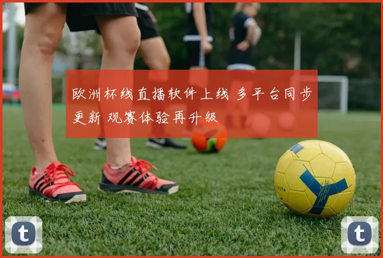 欧洲杯线直播软件上线 多平台同步更新 观赛体验再升级