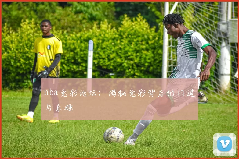 nba竞彩论坛：揭秘竞彩背后的门道与乐趣