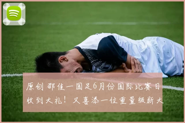 原创 邵佳一国足6月份国际比赛日收到大礼！又喜添一位重量级新大鱼归化，曾在五大联赛8场进8球