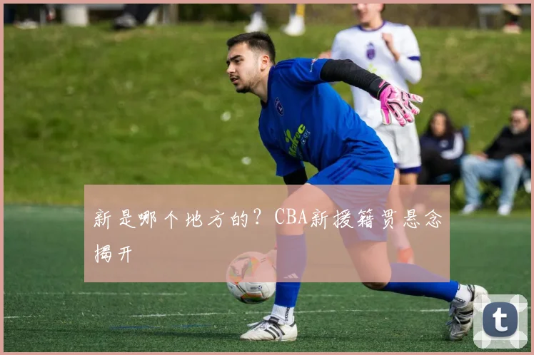 新是哪个地方的？CBA新援籍贯悬念揭开