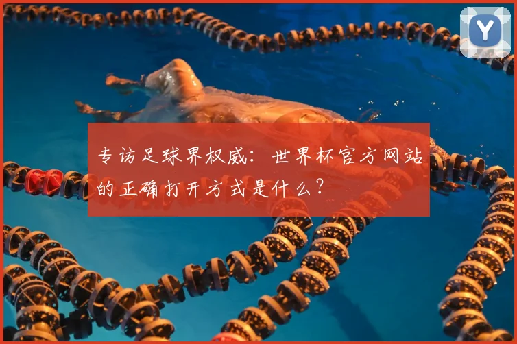 专访足球界权威：世界杯官方网站的正确打开方式是什么？