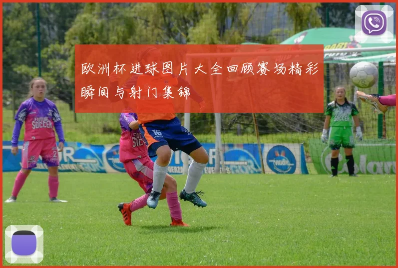 欧洲杯进球图片大全回顾赛场精彩瞬间与射门集锦