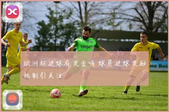欧洲杯进球有奖金吗 球员进球奖励机制引关注
