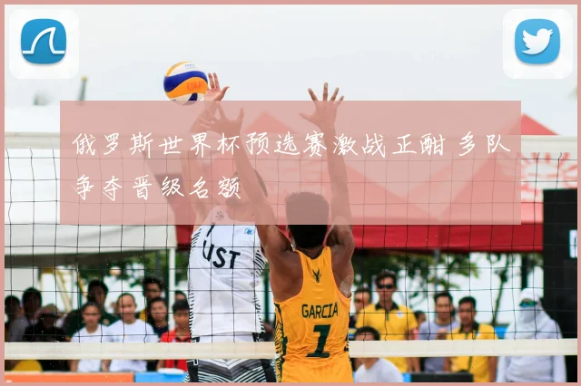 俄罗斯世界杯预选赛激战正酣 多队争夺晋级名额