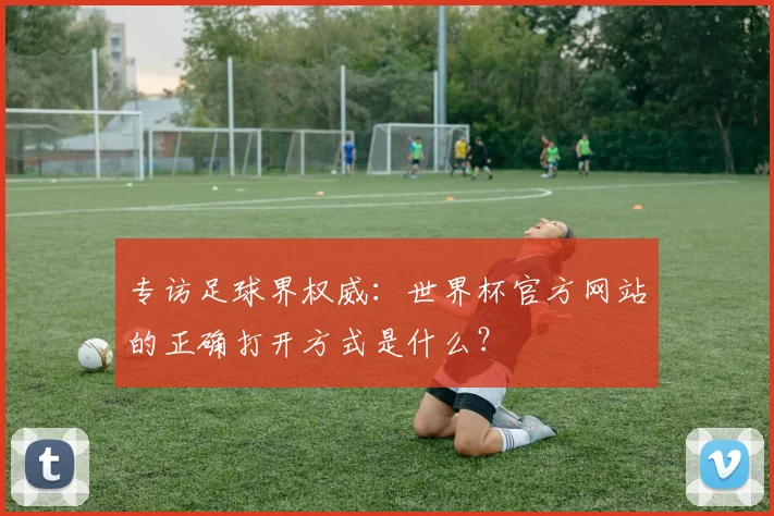 专访足球界权威：世界杯官方网站的正确打开方式是什么？